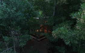 Tiny house en pleno bosque a metros de la laguna